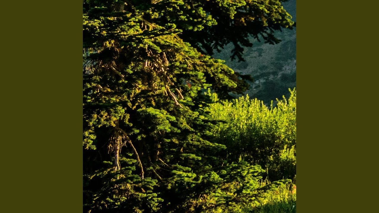 Kamariya Circle of Love