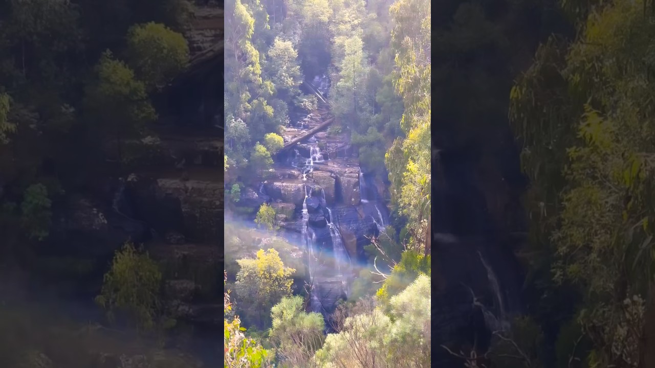 Must Go In Melbourne #melbourne #victoria #australia #waterfall #hike #youtubeshorts #travelvlog