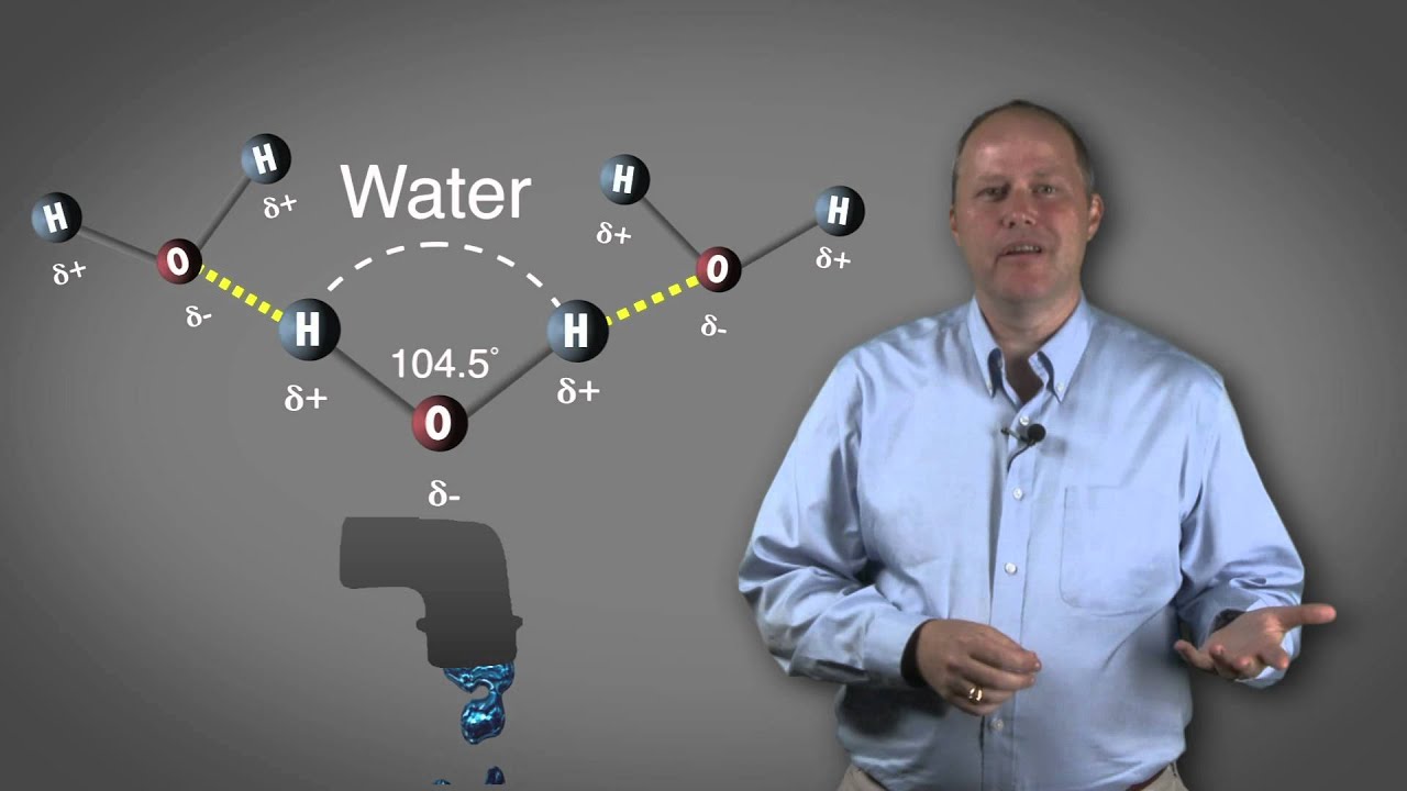 Molecular Shapes
