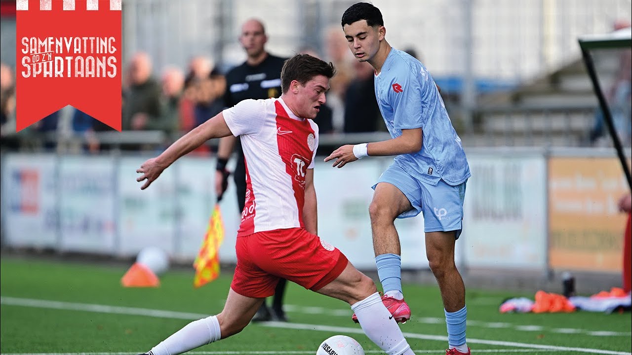 Samenvatting IJsselmeervogels - Jong Sparta Rotterdam