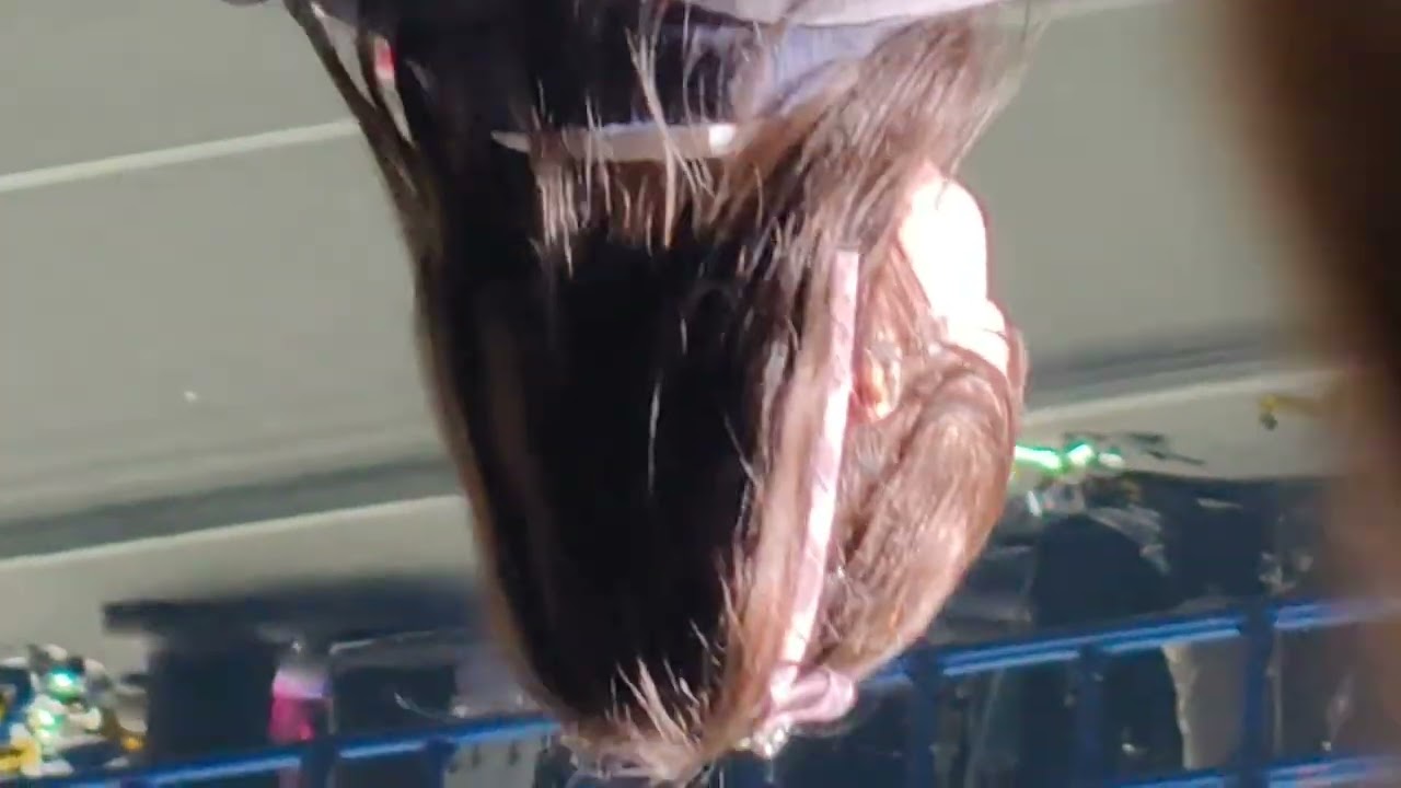 #AKB48 春コン 20260404 その１