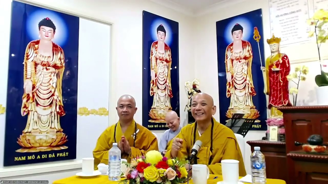 ĐẠI ĐỨC THÍCH TỊNH HẢI HƯỚNG DẪN CÁCH ĐỐI TRỊ HÔN TRẦM NGỦ GẬT...