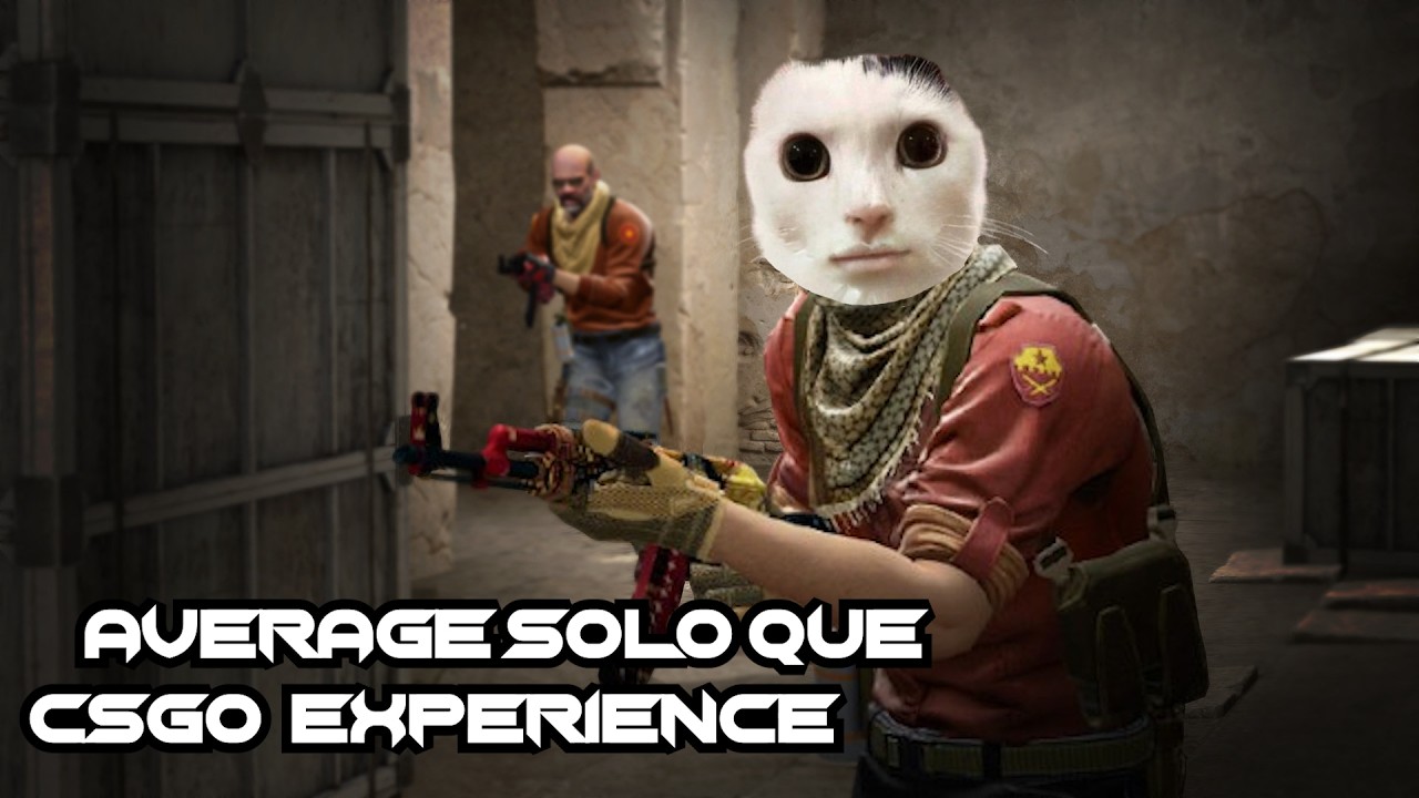 Average Solo Que CSGO Experience