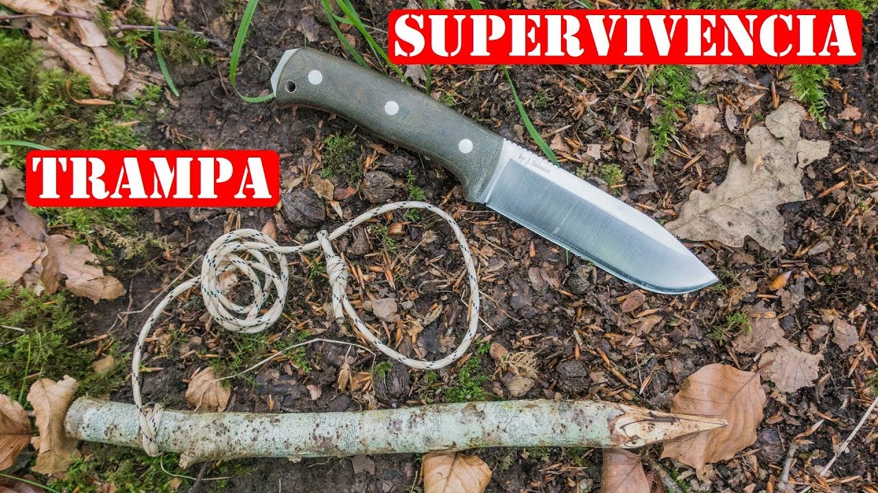 Cómo Hacer Una Trampa De Lazo Y Sus Variantes - Caza De Supervivencia