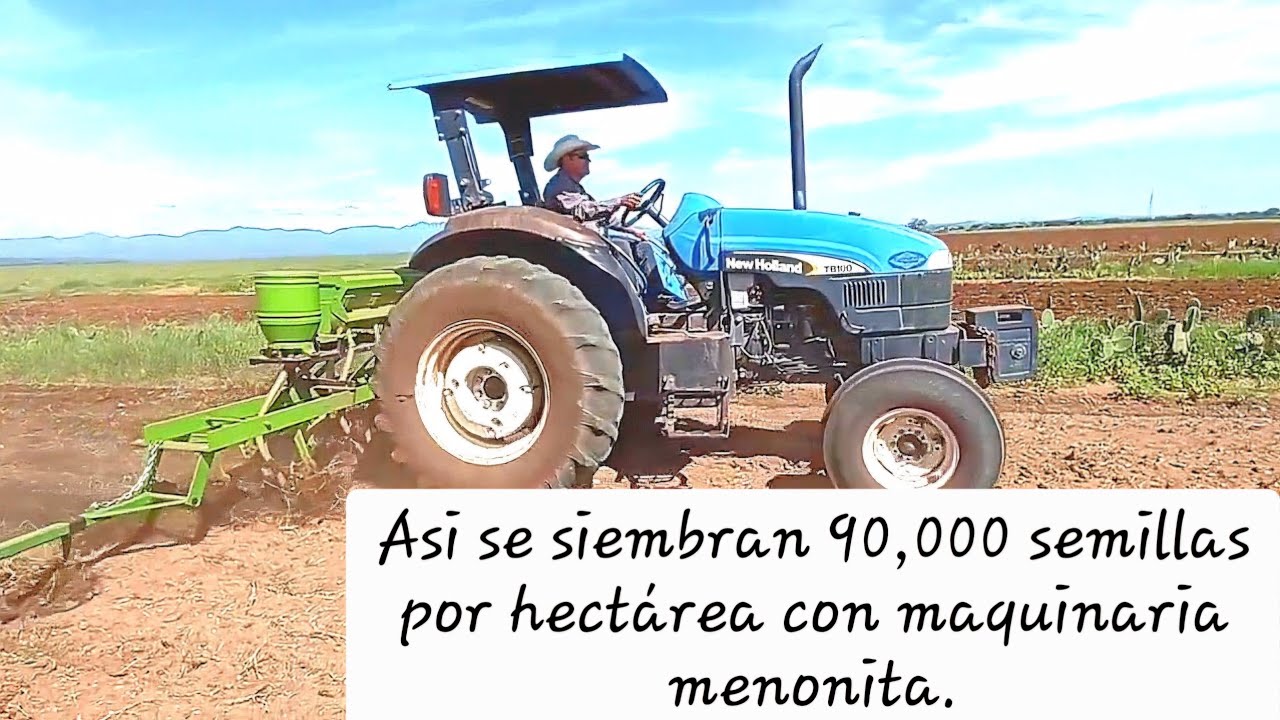 Sembradora menonita, siembra 2024 tierras de temporal.