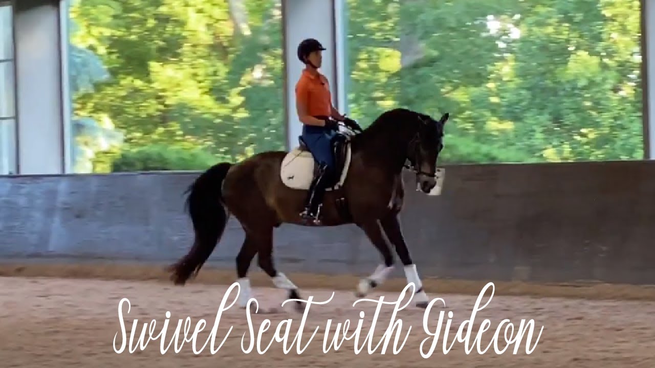 Swivel Seat Canter with Gideon