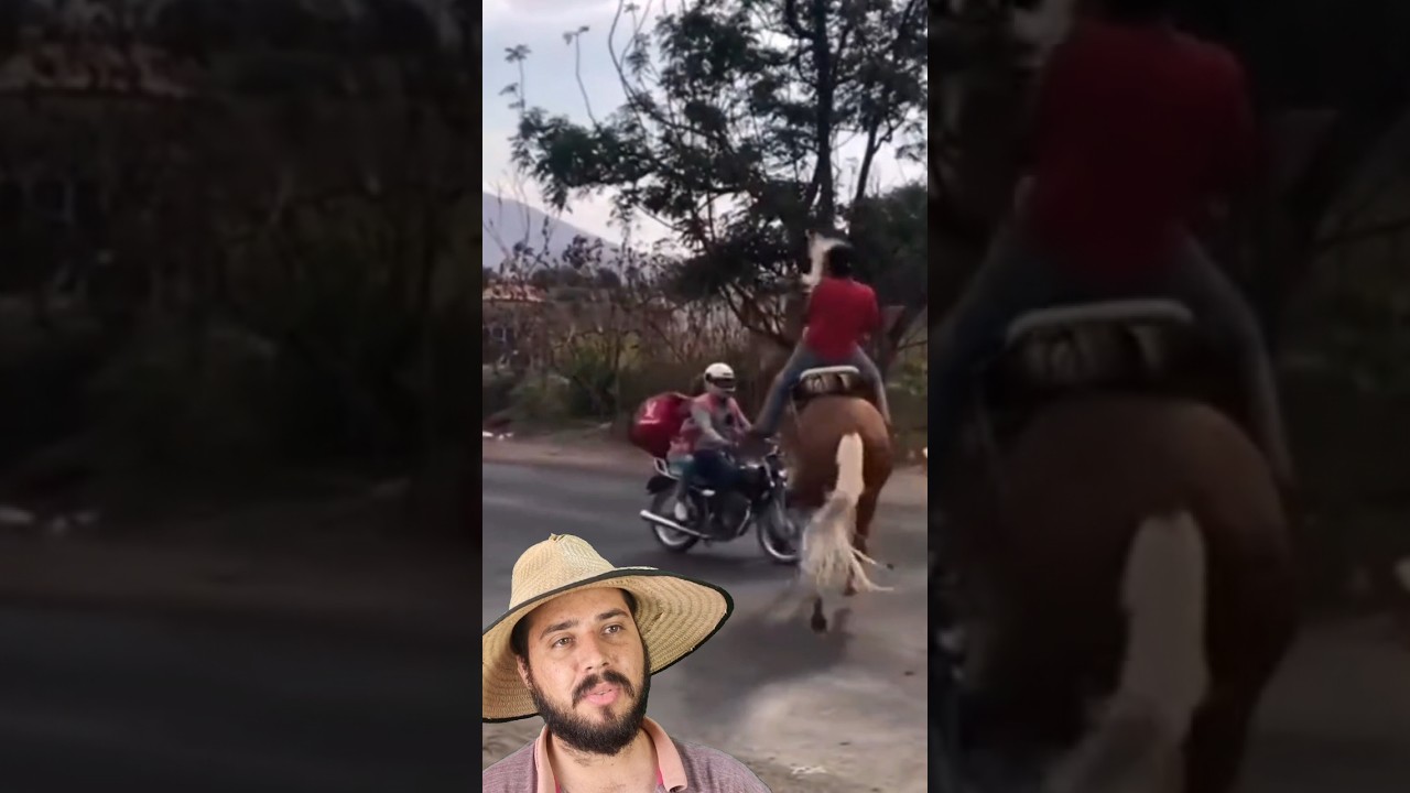 Foi de prop&oacute;sito