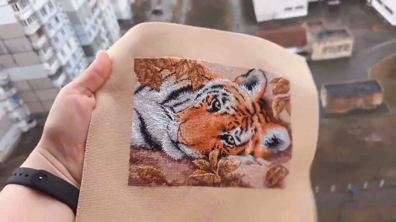 Beguiling Tiger DIMENSIONS финиш