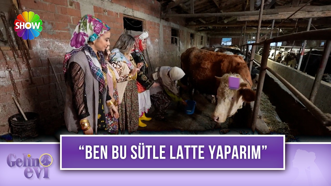 Emine Gelin, çiftlikteki gelinlere inek sağmayı öğretiyor! | Gelin Evi 1655. Bölüm