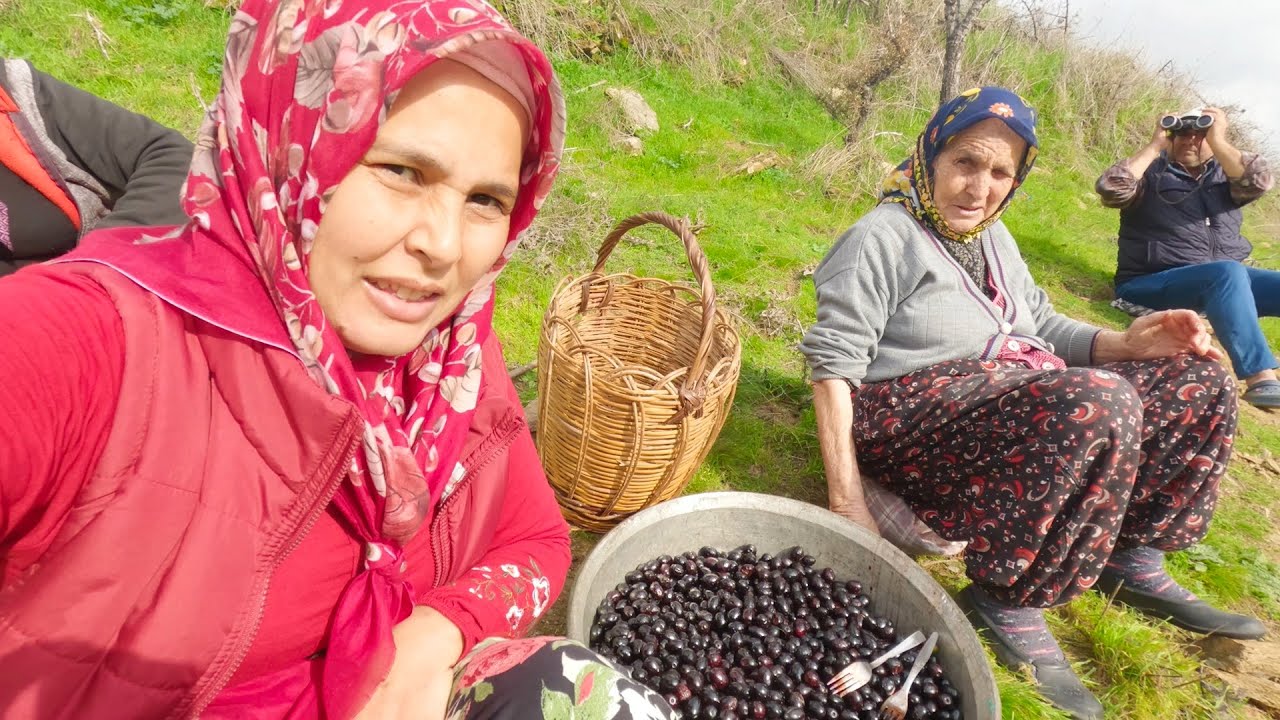 Köy Hayatının Güzel Yanı: Komşularla Birlikte Yemeklik Siyah Zeytin Hazırlığı | Yemek | Öğlen Yemeği