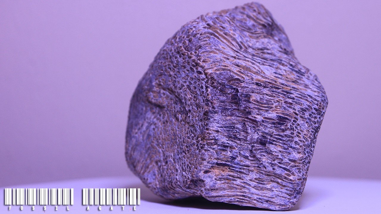 Agate stone​ collection - Cool Rocks Found & Natural Agates