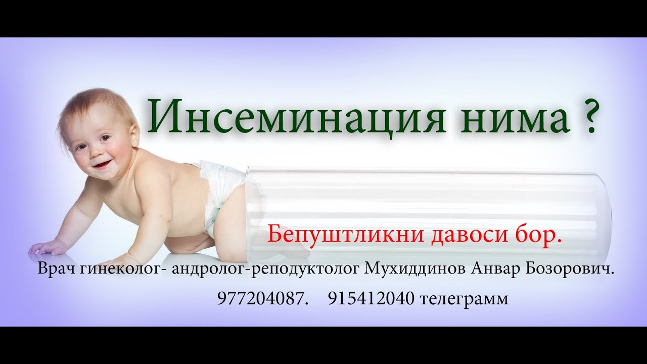 #Инсименация кандай килинади. Суний уруглантиришми? 915412040