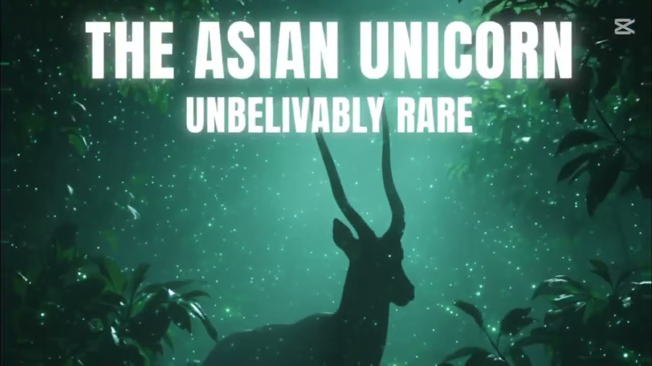 The World&rsquo;s Most Mysterious Mammal.#Saola #RealLifeUnicorn#RareAnimal#Mystery