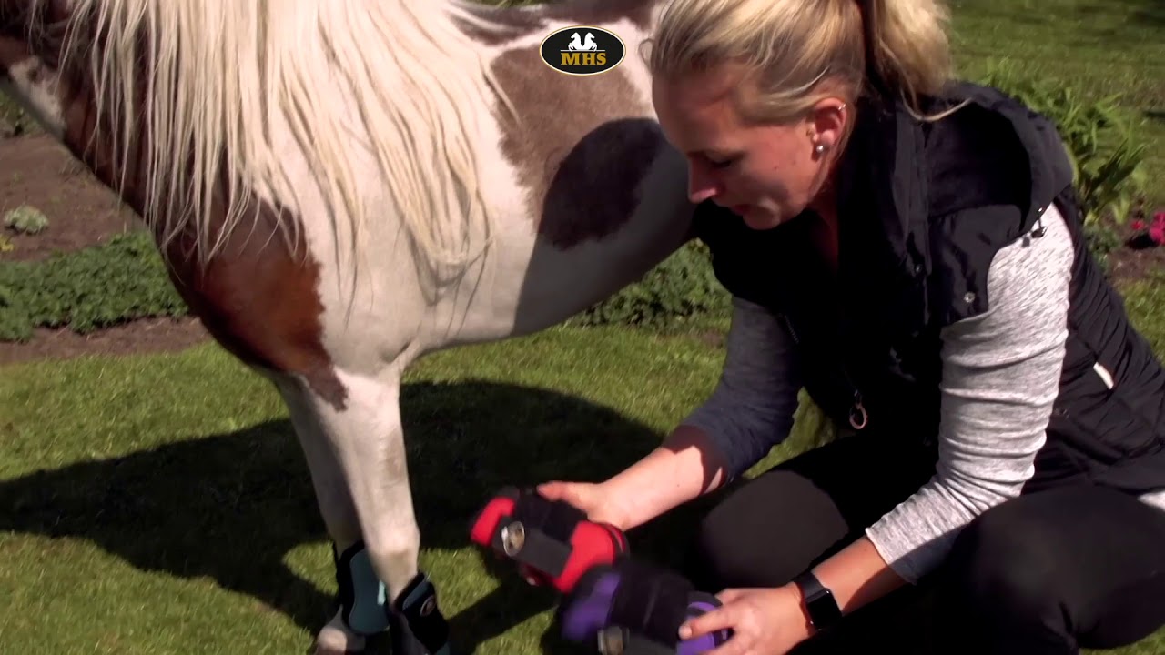 MHS | Tendon Boots