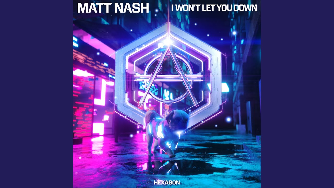 I Won't Let You Down