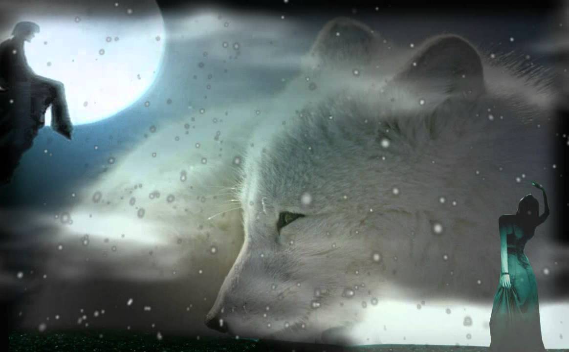 白狐陈瑞