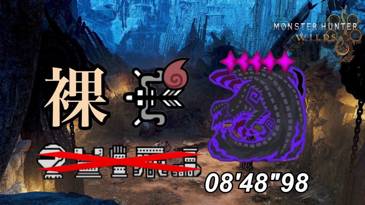 【MHWilds】★9♦5歴戦ゴアマガラ 裸 貫通弓 8'48