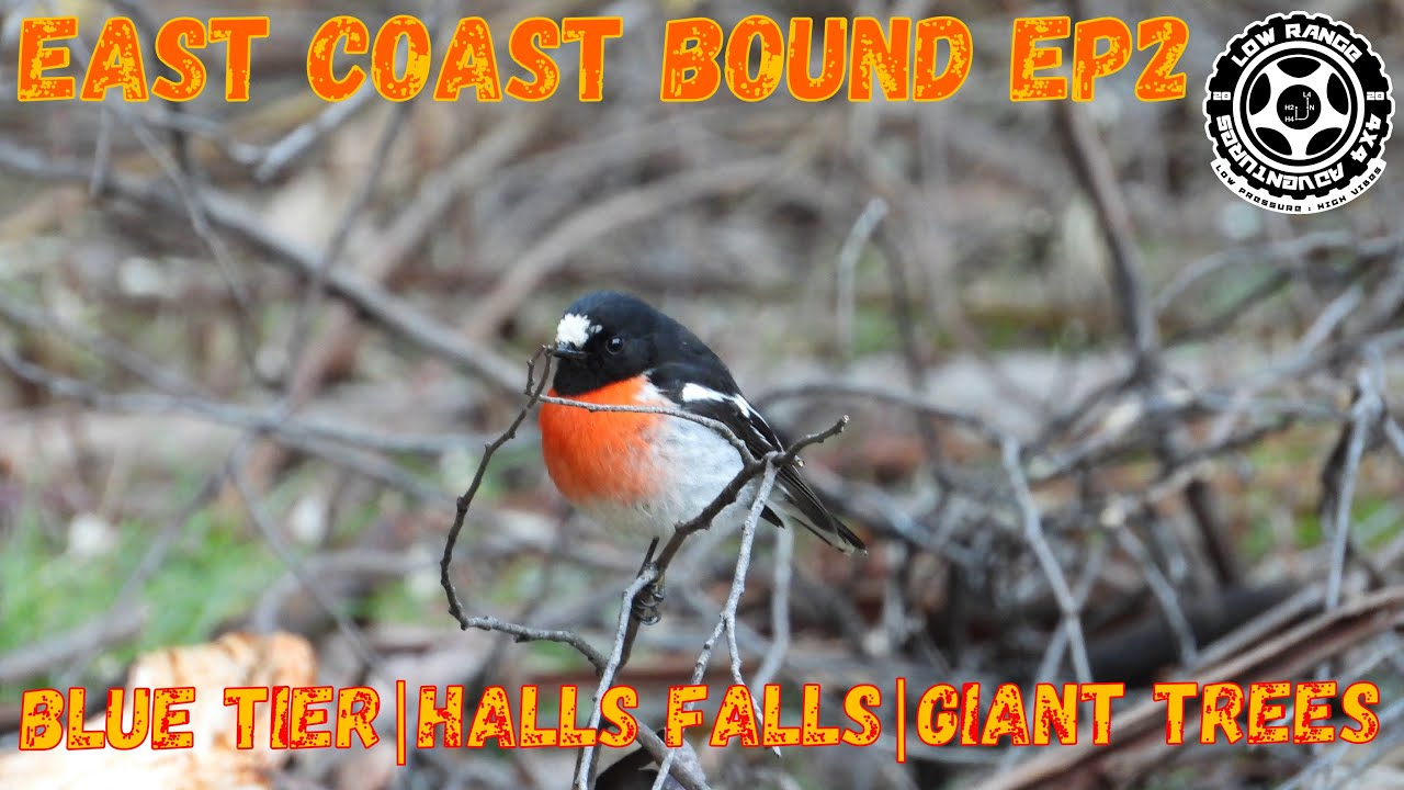 060 - East Coast Bound Ep2 - The Big Lap - Tasmania