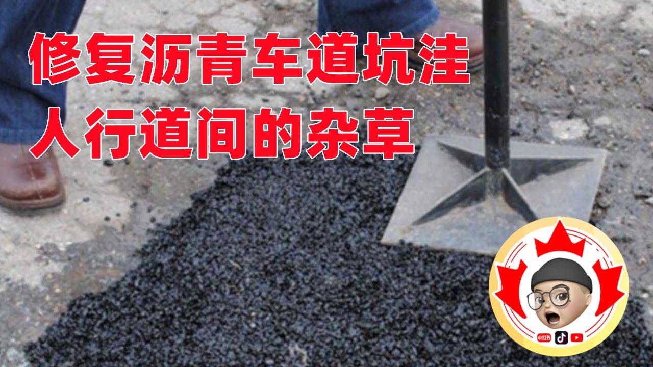 修复Driveway车道中的坑洼 和人行道杂草 简单有效 | 北美生活