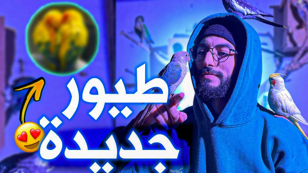 نهاية الإصلاحات 😍🦜