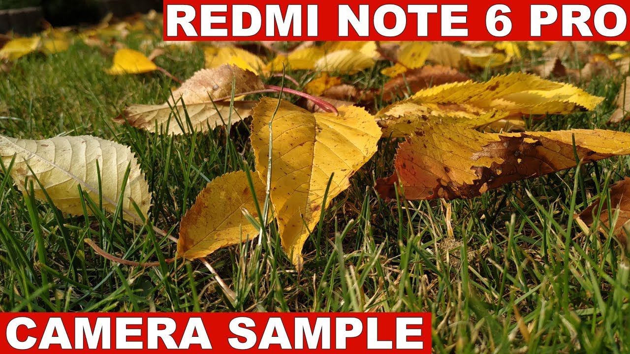Пример камеры Xiaomi Redmi Note 6 Pro