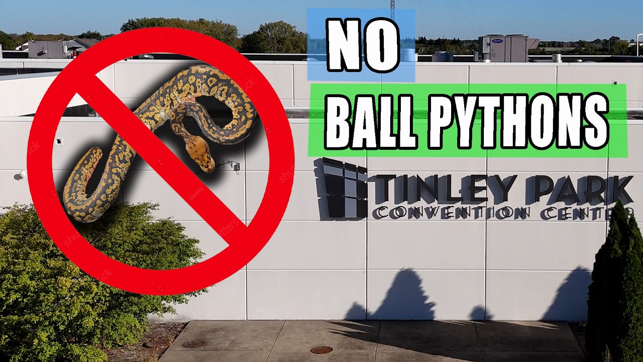 NO Ball Pythons Allowed! (NARBC Tinley March 2026)