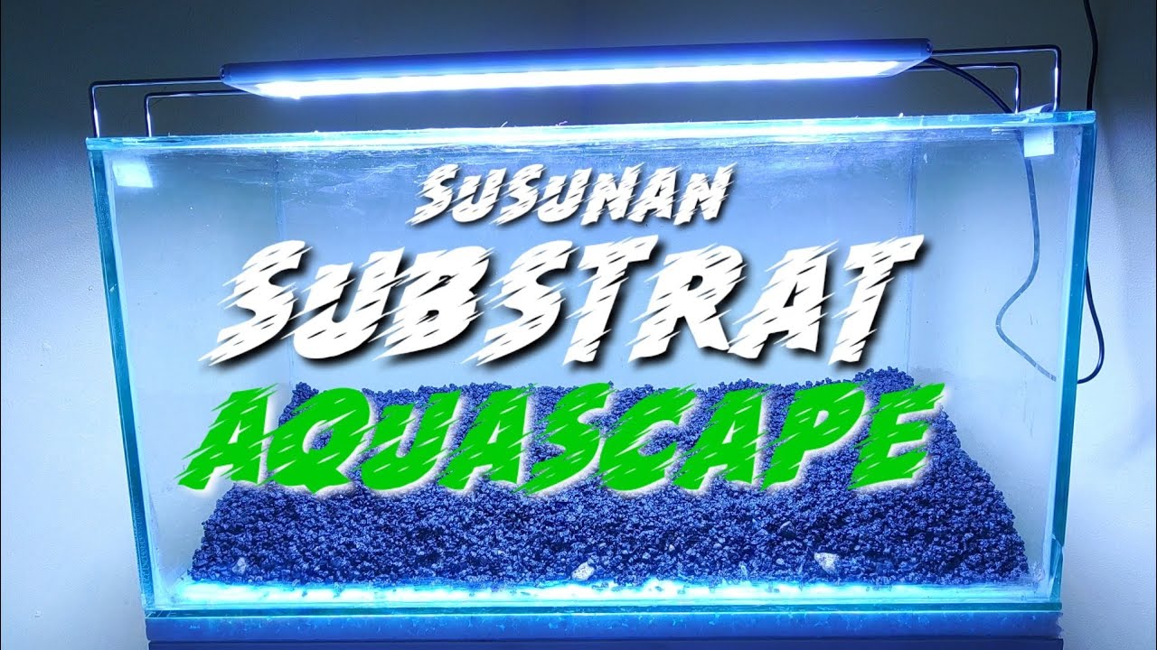 SUSUNAN SUBSTRATE AQUASCAPE || TAHAPAN MENYUSUN SUBSTRATE