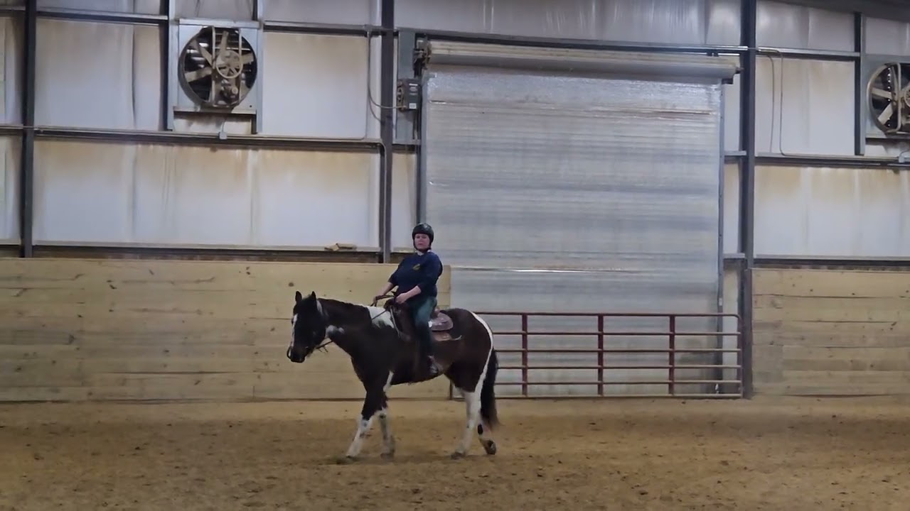 2026 show #1 Miranda Parsons and dixie walk jog ranch pattern 
