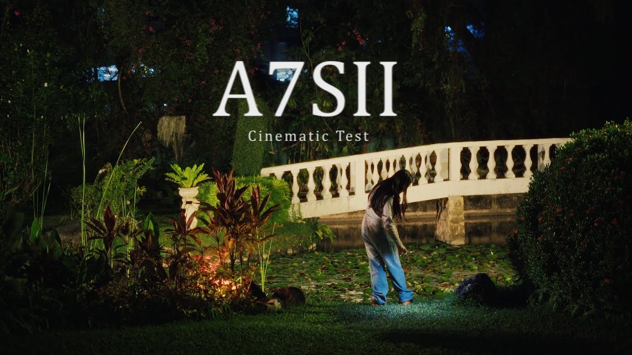The Sony A7SII in 2026