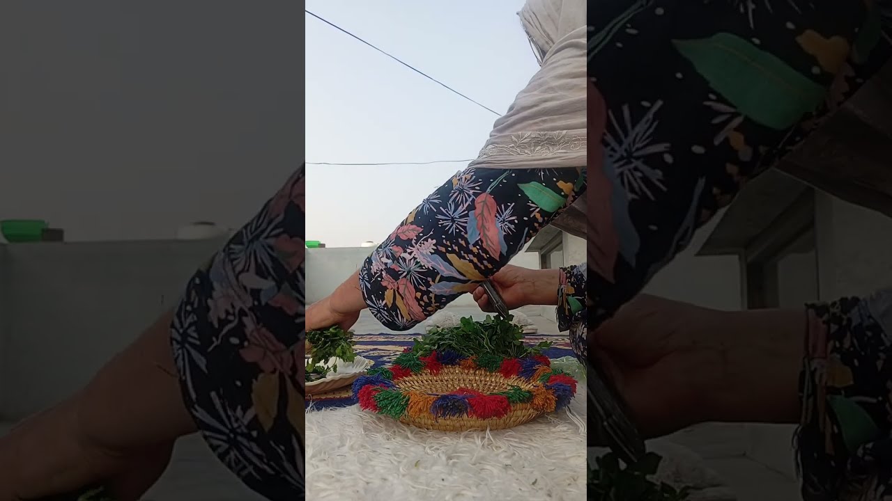 سورج نکلنے کے بعد اللہ کی مخلوق نیں سکون پایا