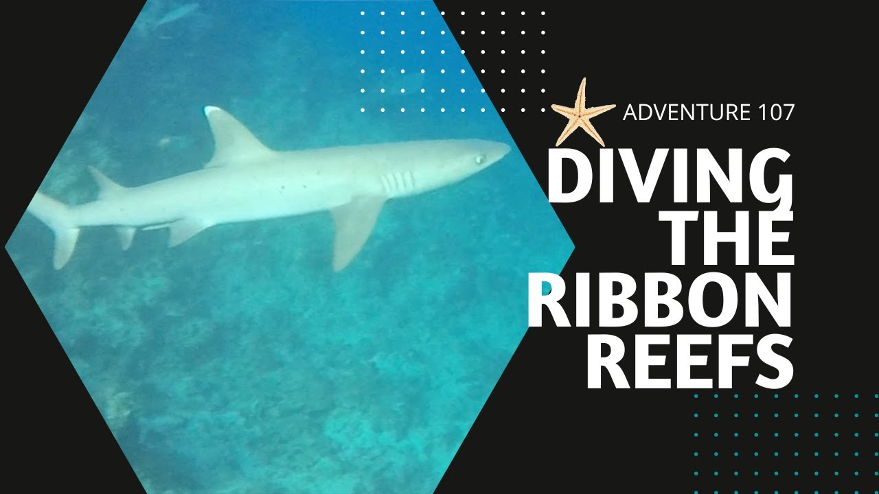 Sailing and Diving the Ribbon Reefs Adventure 107