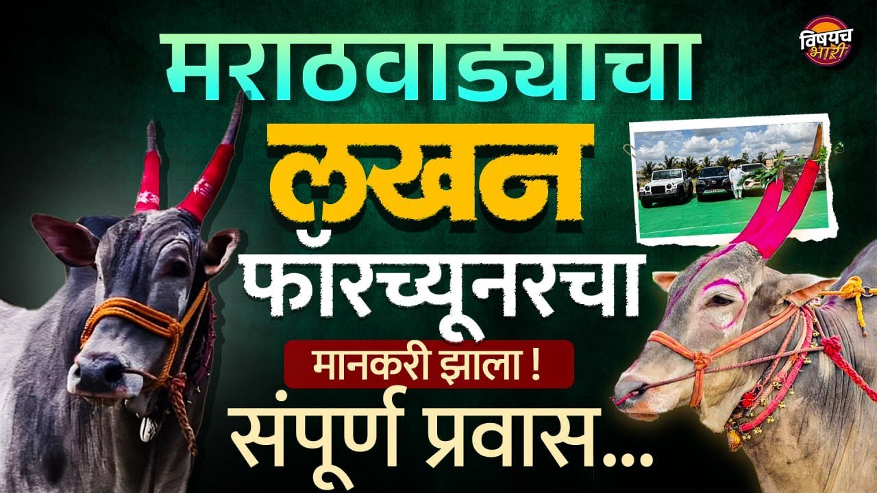 Bailgada Sharyat LIVE : Chandrahar Patil यांच Shrinath Kesari मैदान मारलेल्या Lakhan Bail ची गोष्ट !