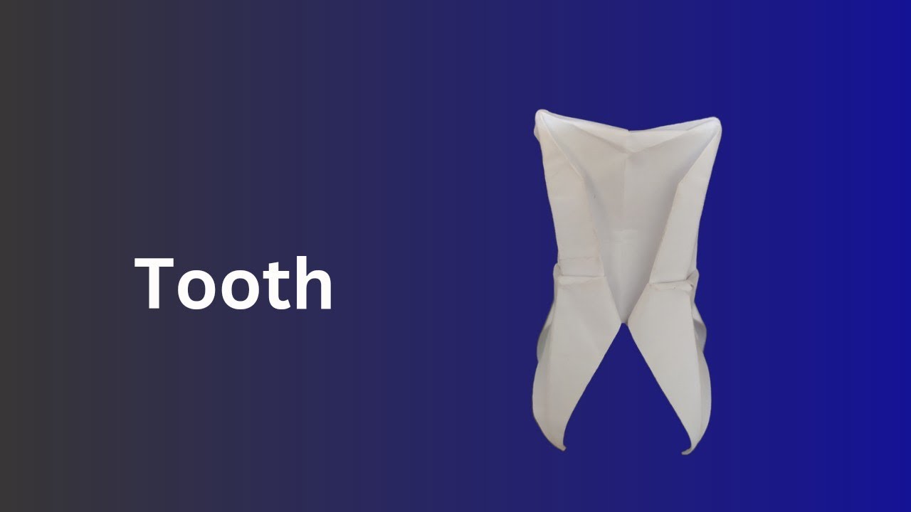 Science Project tooth making | Origami tooth | paper tooth #diy #scienceproject #papercraft