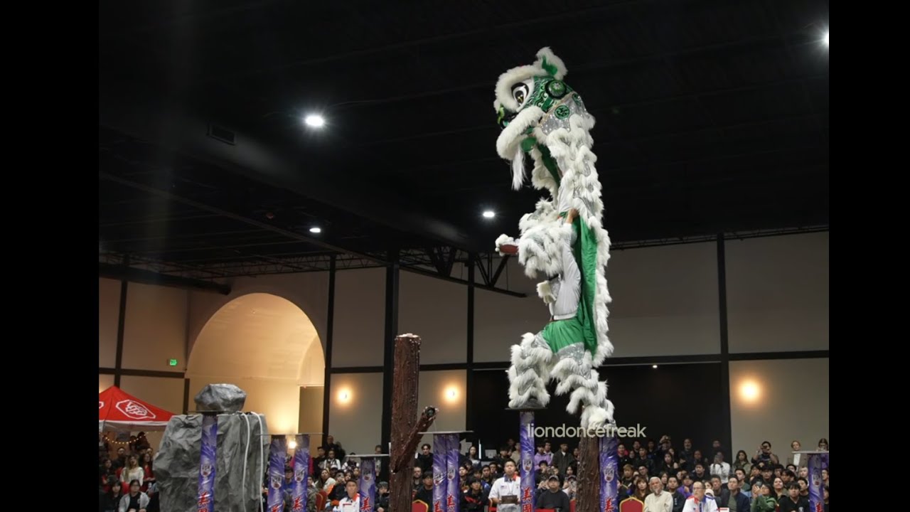 Houston Hong Teck Team 2 - 2024 USA High Pole Lion Dance Championship