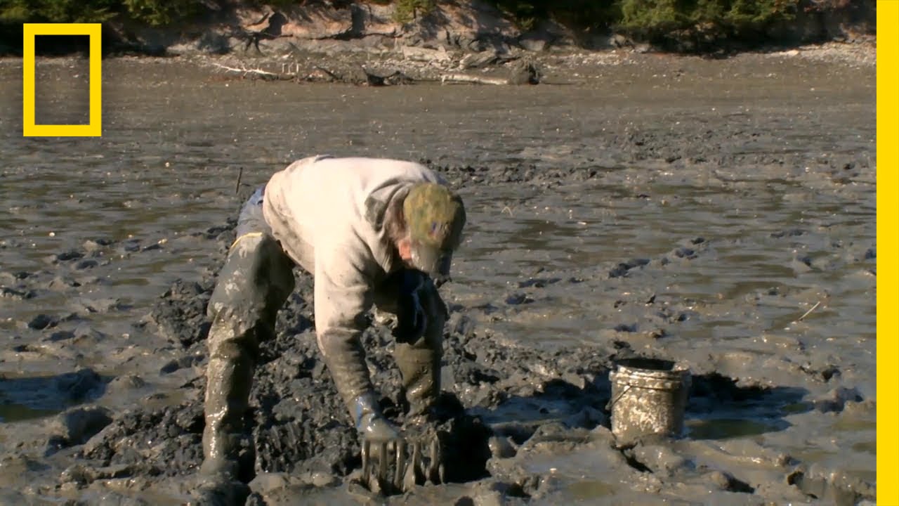 Pulling a Paycheck From the Mud | National Geographic