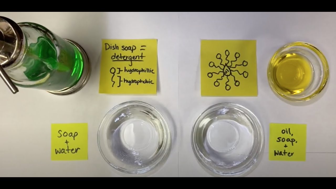 Membrane Fusion Demonstration