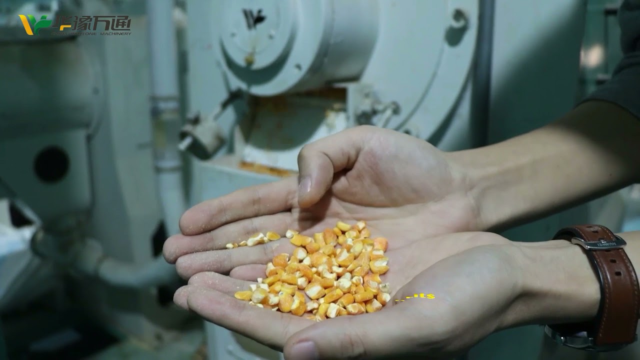 100TPD Fully automatic maize processing plant.