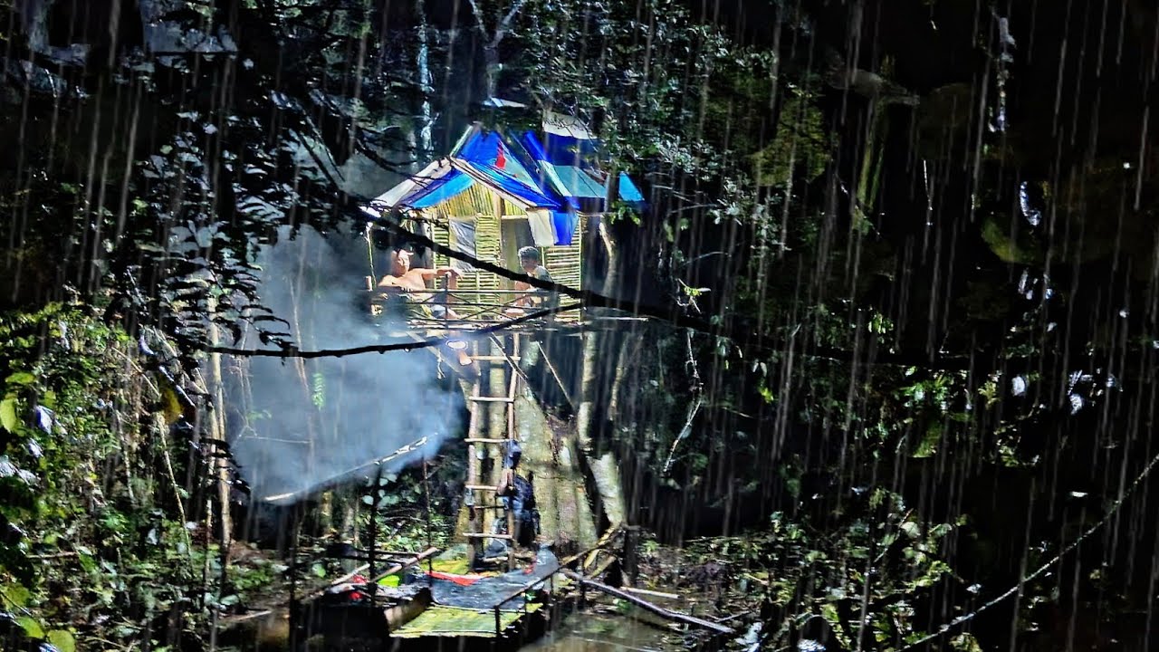 Camping hujan deras dua hari satu malam membuat shelter bambu di atas tunggul raksasa suasana malam