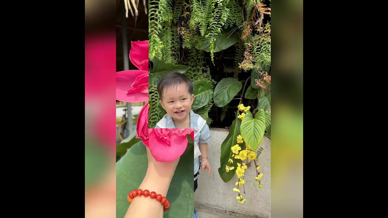 Xuân giađinh 2026
