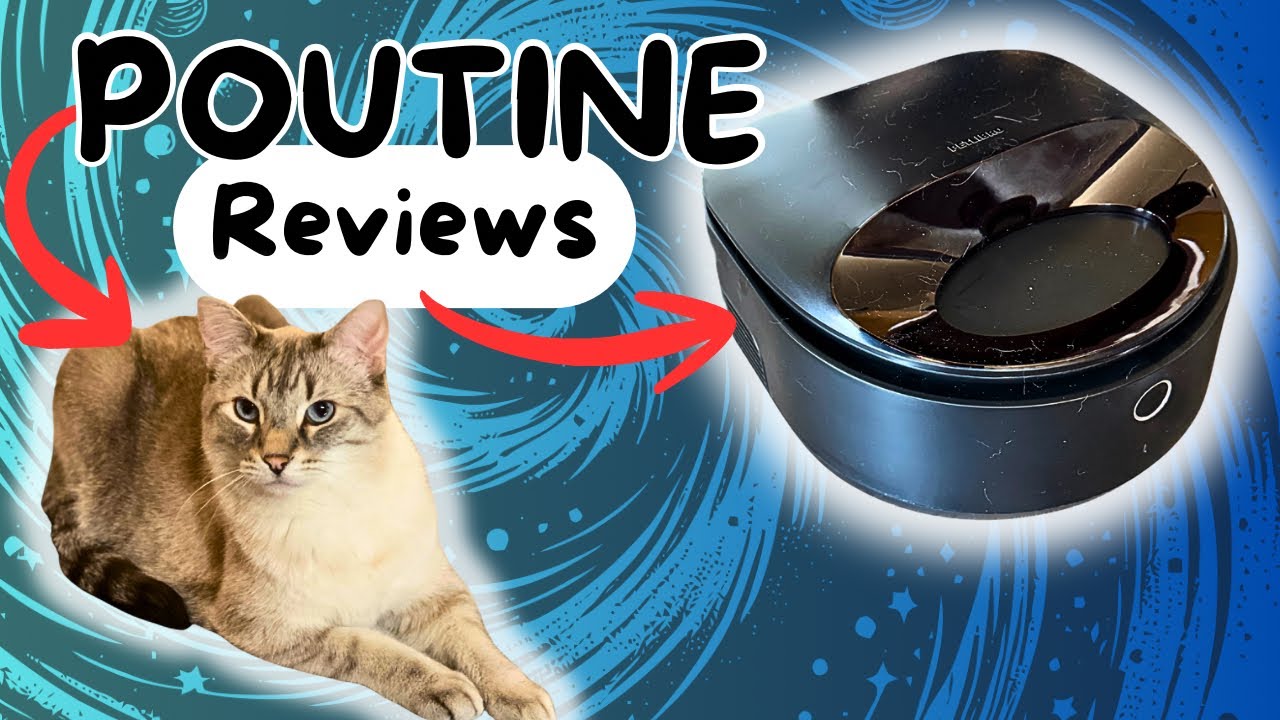 PetLibro Polar Automatic Wet Food Feeder Review