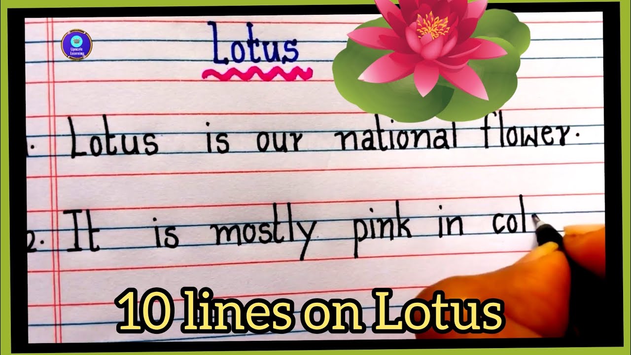 10 lines on lotus in English| My Favourite flower lotus 10 lines | Short essay on National flower
