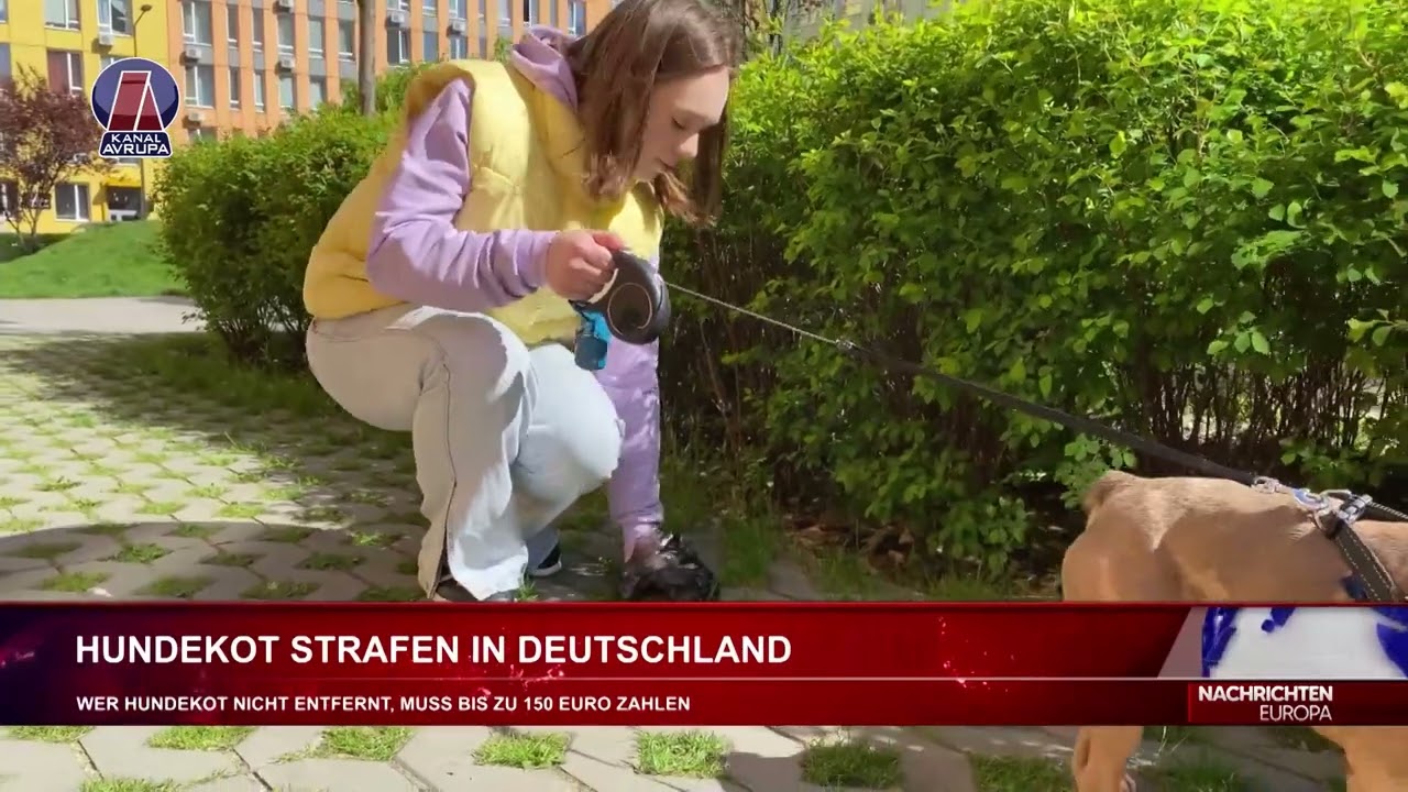 HUNDEKOT STRAFEN IN DEUTSCHLAND