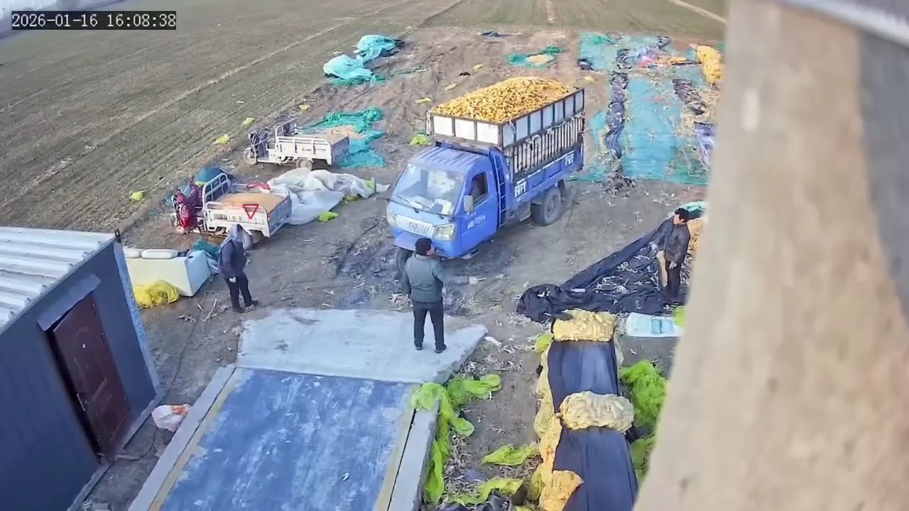 На Камеру Наблюдения Попало Такое , Что Никто Не Ожидал Увидеть