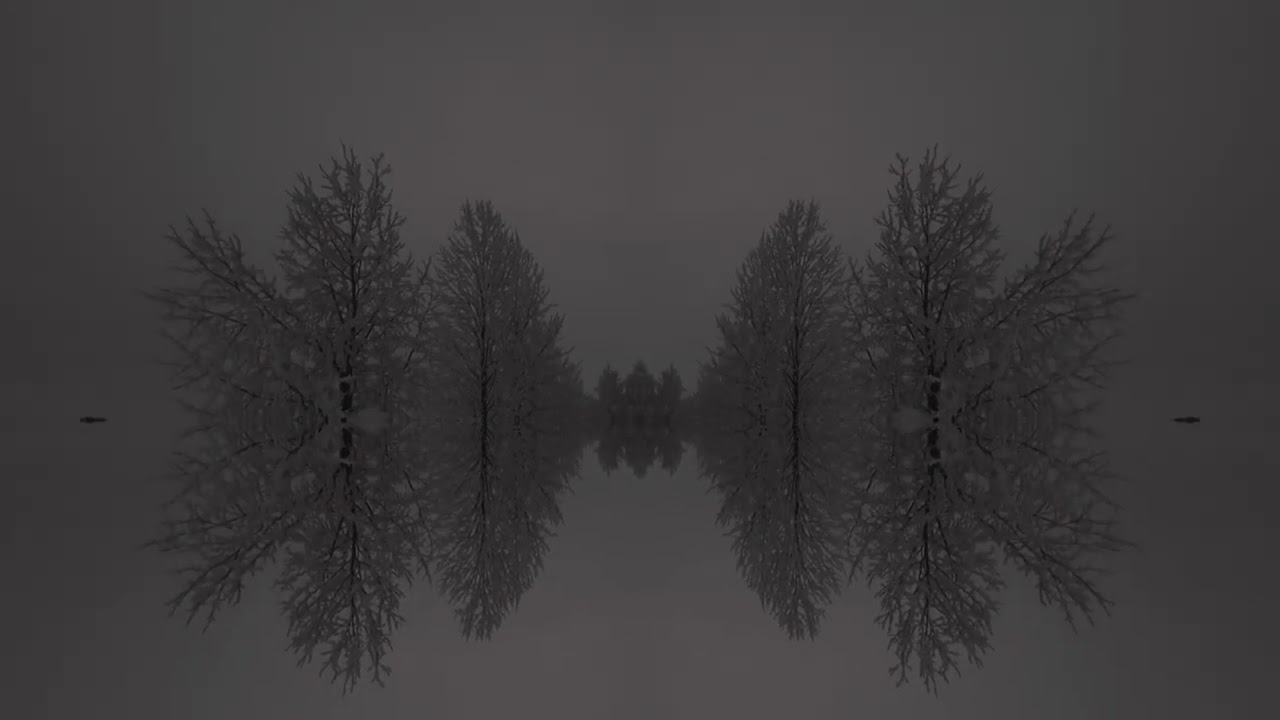 Enzioit Machinen - Every lie leaves a trace - 2026
