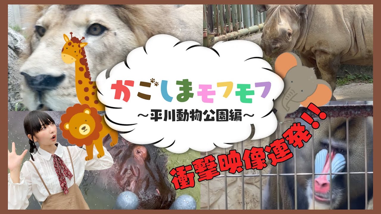 【可愛い動物大集合♪】鹿児島市平川動物公園を徹底満喫しよう！～前編～【もふもふ動画/動物園♪animal/zoo】
