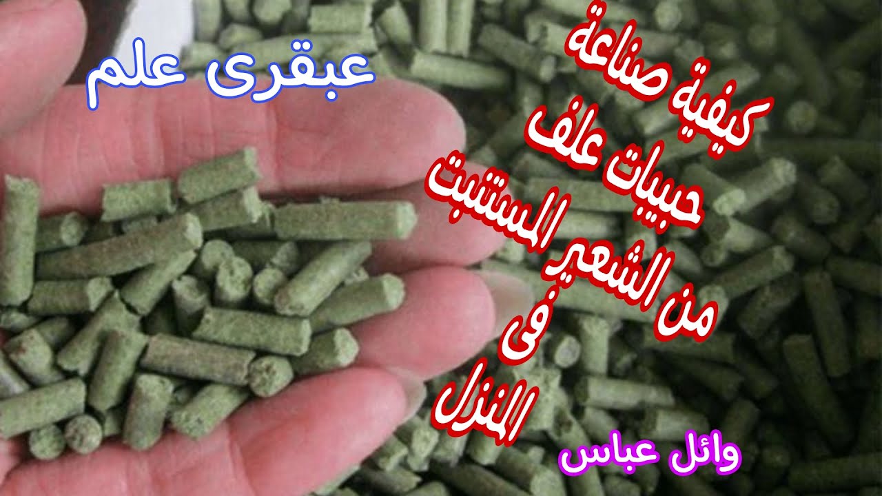 كيفية صناعة حبيبيات علف من الشعير المستنبت.تصنيع الاعلاف في المنزل