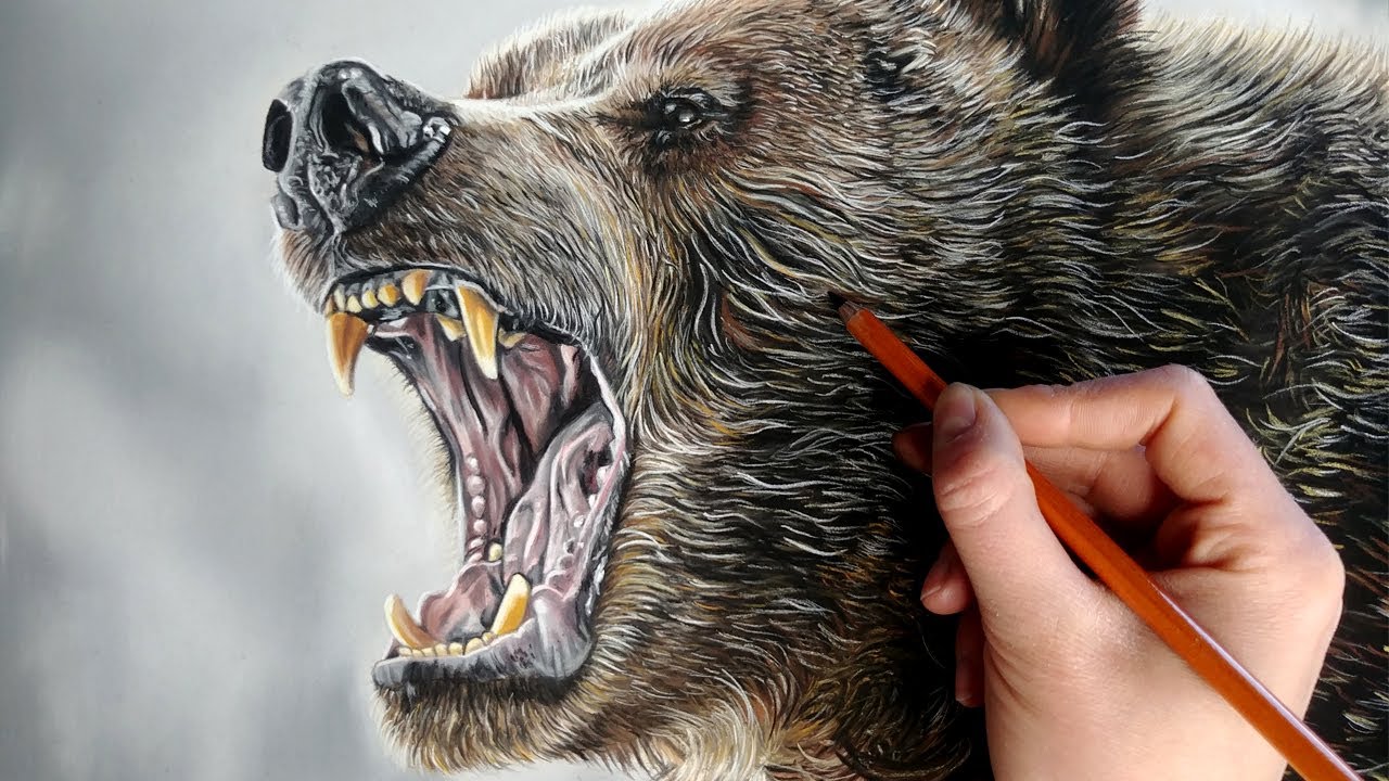 VERY ANGRY Grizzly Bear Drawing!