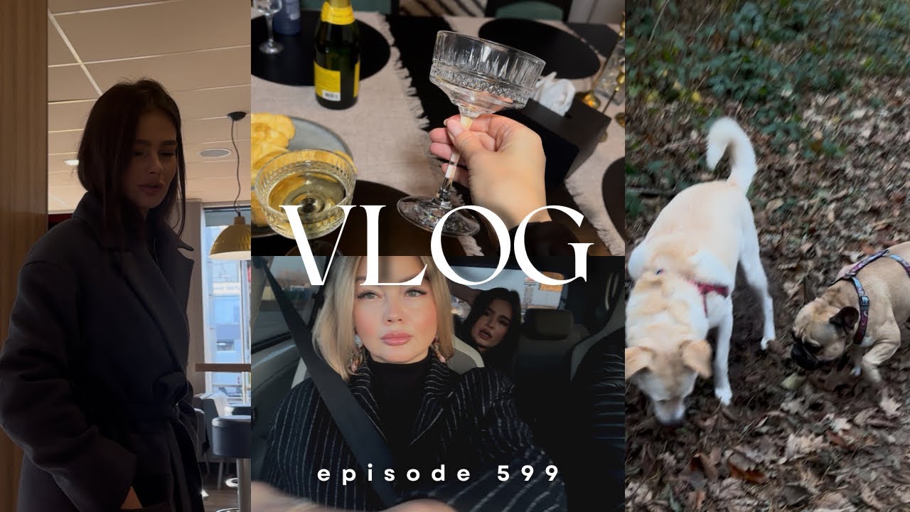 VLOG 599 / наші будні / листопад 2025