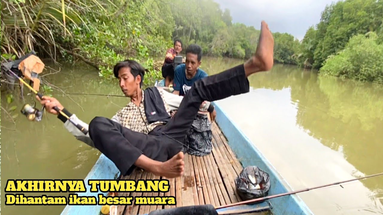 Tumbangnya pemancing disambar ikan kakap putih besar! Mancing kakap putih