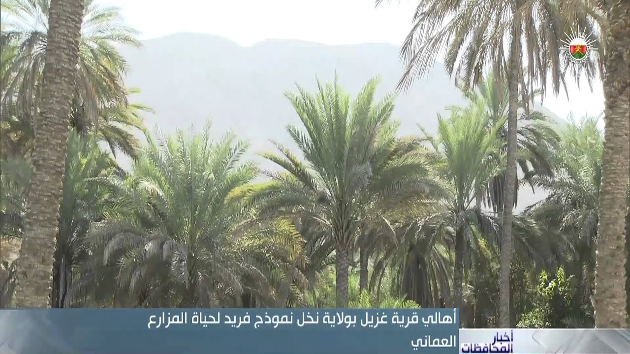 أهالي قرية 